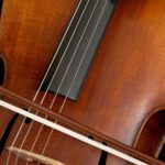 Celloversum in Köln vereint rund 60 Cellistinnen und Cellisten mit südamerikanischen Klängen