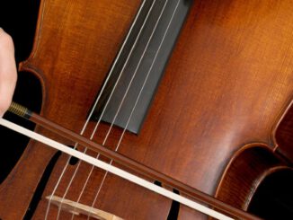 Celloversum in Köln vereint rund 60 Cellistinnen und Cellisten mit südamerikanischen Klängen