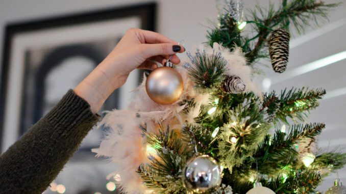 Duisburger Verein verkauft Weihnachtsbäume zugunsten wohnungsloser Menschen Duisburger Verein verkauft Weihnachtsbäume zugunsten wohnungsloser Menschen