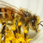 Farbe Königin 2023: Trendfarben, Anwendungstipps und Farbkombinationen