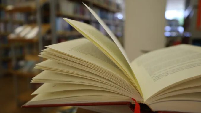 Lesung zur Ethik von Sprachmaschinen in der Stadtbücherei auf der Springe Lesung zur Ethik von Sprachmaschinen in der Stadtbücherei auf der Springe