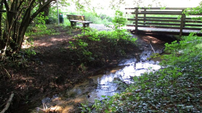 Oberhausen plant Pflegedurchforstungen in Sterkrade und Osterfeld Oberhausen plant Pflegedurchforstungen in Sterkrade und Osterfeld