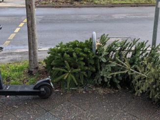 Recklinghausen holt Weihnachtsbäume ab 12. Januar ab