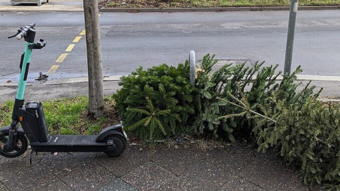 Recklinghausen holt Weihnachtsbäume ab 12. Januar ab