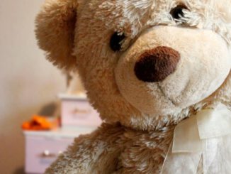 Welt-AIDS-Tag in Mülheim: Teddyverkauf als Unterstützung und kostenlose STI-Tests