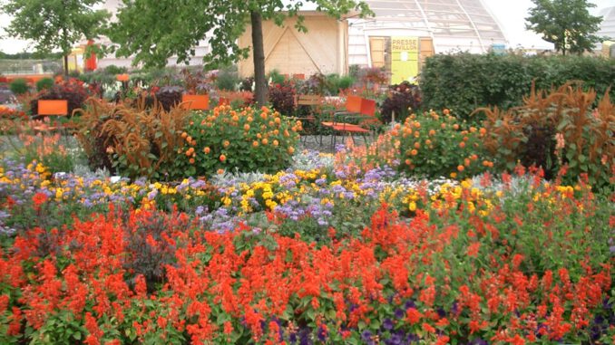 Wuppertal BUGA 2025: Zukunftsorientierte Stadtoasen und Nachhaltige Architektur Wuppertal BUGA 2025: Zukunftsorientierte Stadtoasen und Nachhaltige Architektur